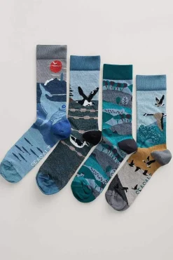 Seasalt Cornwall Socks<Box Of 4 Men's Postcard Socks Windyridge Mix