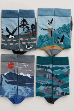 Seasalt Cornwall Socks<Box Of 4 Men's Postcard Socks Windyridge Mix