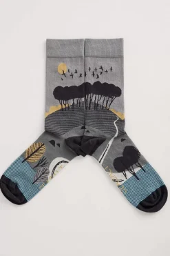 Seasalt Cornwall Socks<Men's Postcard Socks Hilltop Coal Hawk